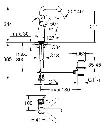 2248082.webp