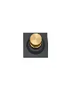 Untitled design (62).webp