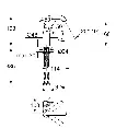 التاني.webp