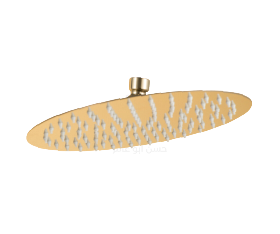 طاسة دش مدريد دائرية 25 سم GS-3550-GP